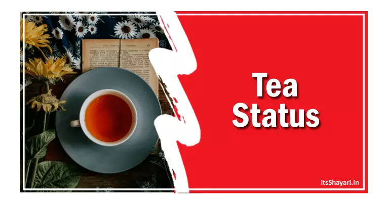75+tea Status Hindi Tea Quotes Hindi चाय शायरी Tea Lover Status-